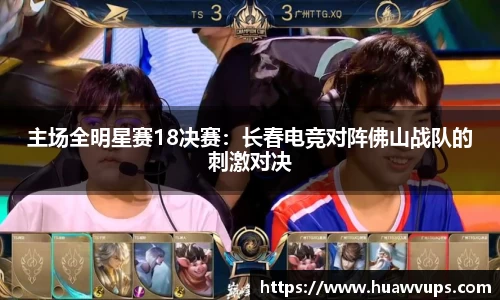 必博Bibo