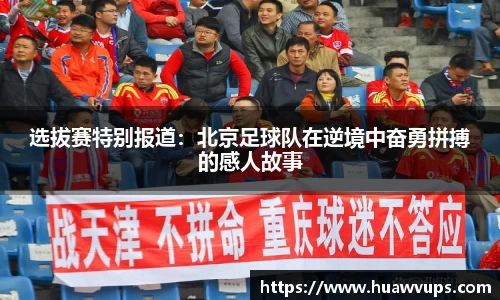 必博Bibo官网